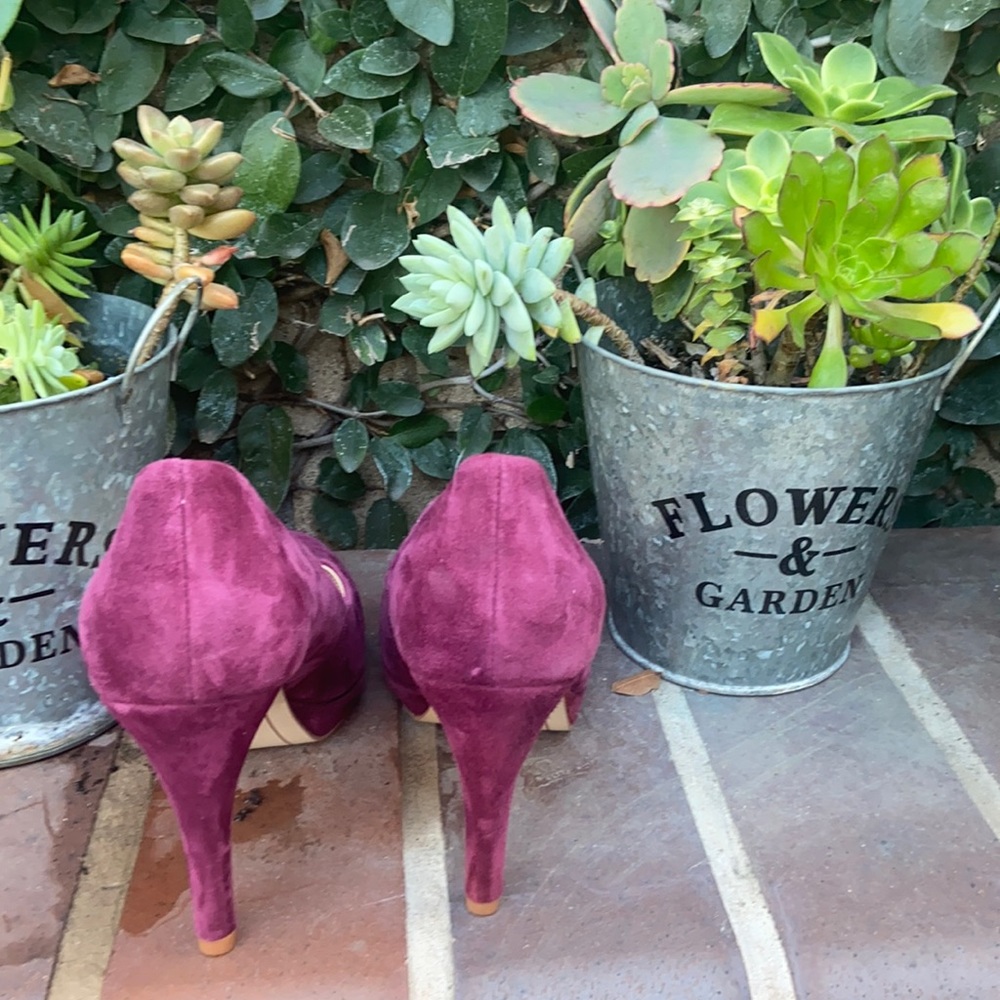 New Violet & Red Suede pumps
Color burgundy
Size 7 - Picture 4 of 9